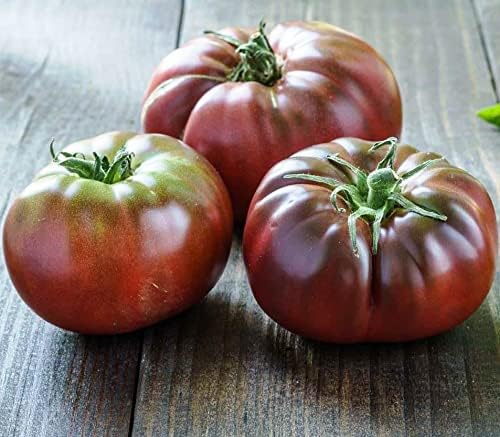 RAISE ME UP: Seeds Black Prince Tomato Indeterminate Rare Variety True Siberian Tomato Non GMO Heirloom
