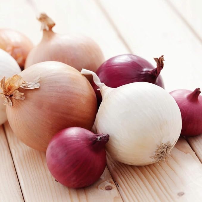 CEMEHA SEEDS - Seeds Onion Mix Non GMO Vegetable for Planting