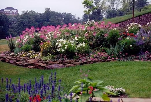 14-14-14 Plant Fertllizer Elite Nutrition - 15 lbs. Slow Release 120 Days - Added in Micros - Ornamental and Landscape Fertilizer (15 lbs.)
