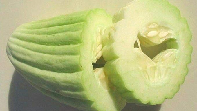 Seeds Vegetable Cucumber Armenian Heirloom for Pickling - 10 Seeds