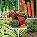 Park Seed Stir Fry Vegetable Seed Collection – Non-GMO Garden Kit with Broccoli, Snap Peas, Carrots, Sweet Peppers & Green Onions – Nutrient-Dense Superfoods for Cooking, Total of 1,605 Seeds