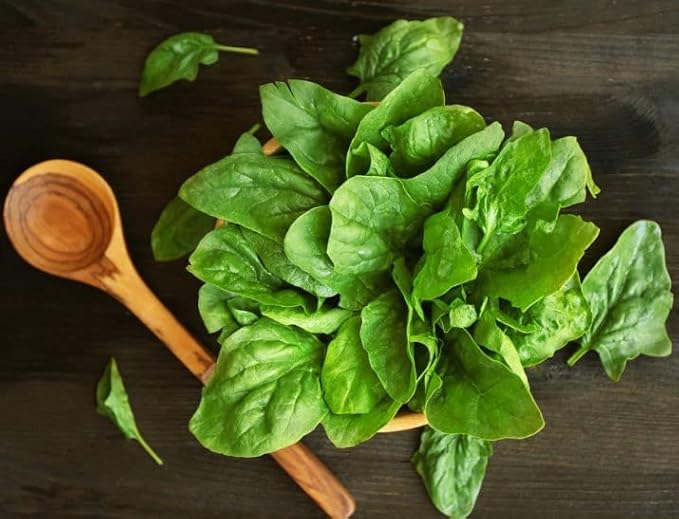 Seeds Four Seasin Spinach Viroflay - Heirloom Vegetable - GMO Free