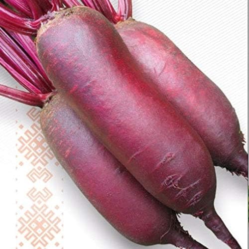 Seeds Vegetable Beet Rival Red Long Beetroot Heirloom for Canning - 100 Seeds