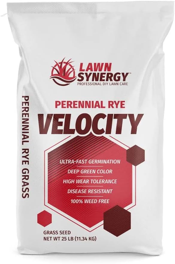 Velocity™ Perennial Rye Grass Seed — Fast-Germinating Cool-Season Turf for Overseeding Lawns, Sports Fields & Golf Courses — Dark Green Winter Color — 10 lb / 25 lb / 50 lb Options (25 lbs)
