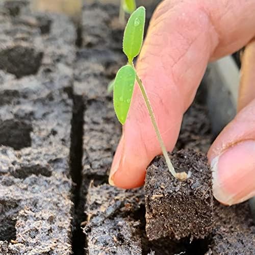 Ladbrooke Authentic Cubic Inserts, Set of 4. Snap in - for Use in The Mini 4, and Long-Handle Multi 6 and Multi 12 Soil Blockers, Made in England