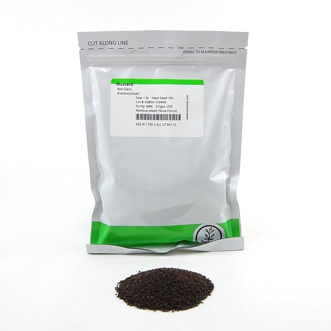 Red Giant Mustard Seeds: 1 Lb - Non-GMO Seeds for Herb Gardening, Growing Micro Greens, Vegetable Garden