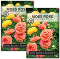 Sow Right Seeds - Moss Rose Seeds for Planting - Portulaca Grandiflora Mix - Double Flower Purslane - Non-GMO Heirloom Variety - Easy to Grow Outdoors - Colorful Annual for Garden & Containers (2)