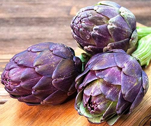 Seeds Purple of Romagna Globe Artichoke Vegetable for Planting Non GMO