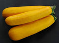 Squash Zucchini Golden Garden Heirloom Vegetable Seeds by Seed Kingdom (1/4 Lb Seeds)