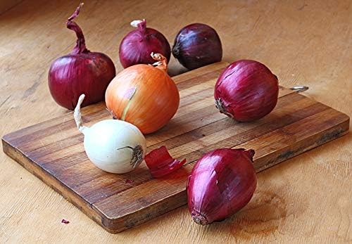 Seeds Vegetable Onion Rainbow Mix Neutral - 500 Seeds