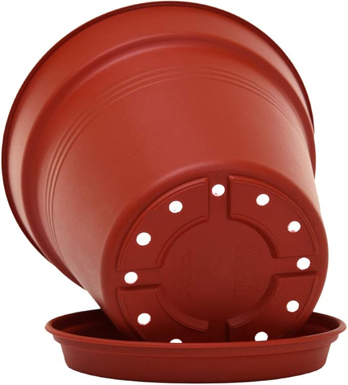 Mintra Home Garden Pots 4pk - Flowers, Herbs, Plants, Indoor, Outdoor, Colorful, Wholesale, Bulk (Burgundy, 11cm Diameter (4.3in))