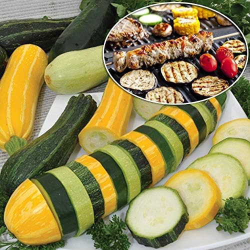This is a Mix 50 Zucchini and Squash Mix Seeds 12 Varieties Non-GMO Delicious Grown in USA. Rare Super Profilic Cucurbita Pepo