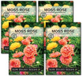 Sow Right Seeds - Moss Rose Seeds for Planting - Portulaca Grandiflora Mix - Double Flower Purslane - Non-GMO Heirloom Variety - Easy to Grow Outdoors - Colorful Annual for Garden & Containers (4)