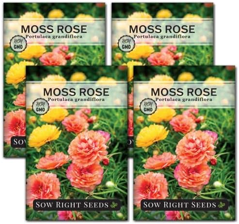 Sow Right Seeds - Moss Rose Seeds for Planting - Portulaca Grandiflora Mix - Double Flower Purslane - Non-GMO Heirloom Variety - Easy to Grow Outdoors - Colorful Annual for Garden & Containers (4)