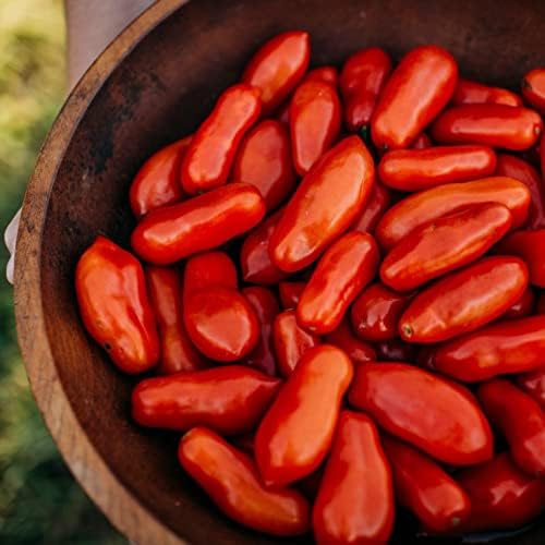 Opalka Heirloom Paste Tomato - 50 Seeds - Rare Polish Variety, Nearly Seedless Tomatoes, Great for Canning, USA-Grown, Non-GMO Seeds for Planting Outdoors in The Home Garden, Thresh Seed Company