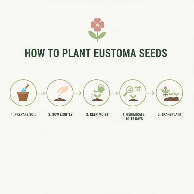 1000 Lisianthus Seeds for Planting, Mixed Color Eustoma Flower Seeds, Thornless Rose Seed, Non-GMO Eustoma Grandiflorum Perennial Garden Indoor Blooms