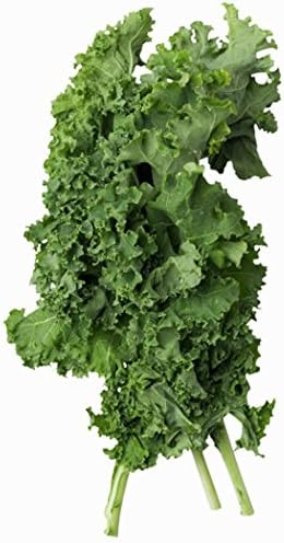 Kale Dwarf Siberian Improved Great Heirloom Vegetable by Seed Kingdom Bulk 1 OZ Seeds