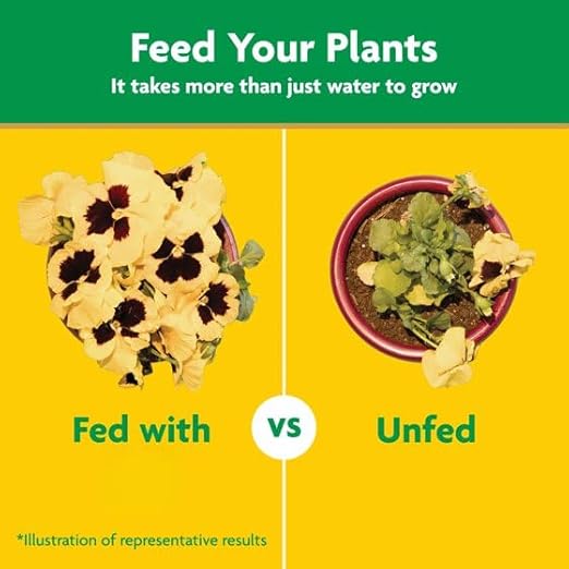 Miracles-Grows Water Soluble All Purpose Plant Food, 5 lb, Indoor and Outdoor Plants