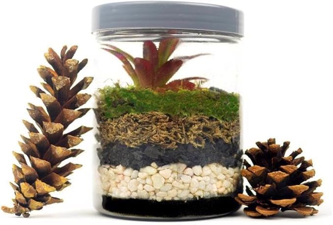 Pearl STNE Soil COVR 5LB