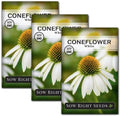 Sow Right Seeds - White Coneflower Echinacea Seeds for Planting - Non GMO Heirloom - Variety - Perennial Ideal for Outdoor Gardening - Hardy Flowers for Pollinators - Wildflower Addition (3)