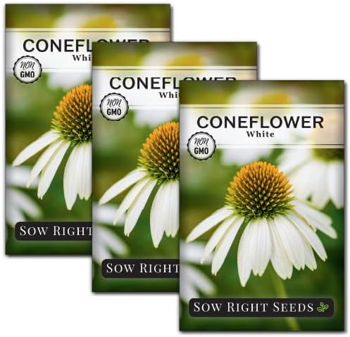 Sow Right Seeds - White Coneflower Echinacea Seeds for Planting - Non GMO Heirloom - Variety - Perennial Ideal for Outdoor Gardening - Hardy Flowers for Pollinators - Wildflower Addition (3)