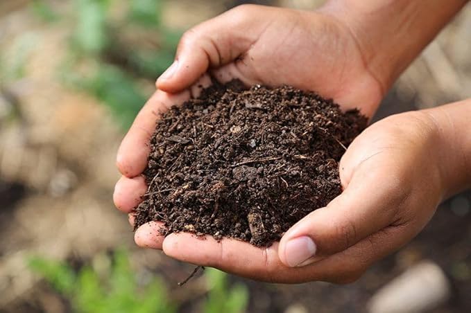 Park Seed Nature’s Aid Garden Soil Inoculant – Enhances Soil Fertility for Beans, Peas, & Vetch, Boosts Nitrogen Fixation for Bigger Vegetable Yields, Granular Formula Treats 150 Feet of Row, 8.7 oz