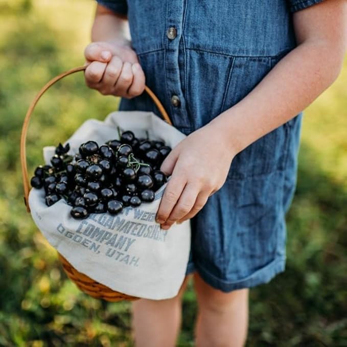 Garden Huckleberry - 50 Seeds - Heirloom Berry Variety, USA-Grown, Non-GMO Heirloom Fruit Seeds for Planting Outdoors in The Home Garden, Thresh Seed Company
