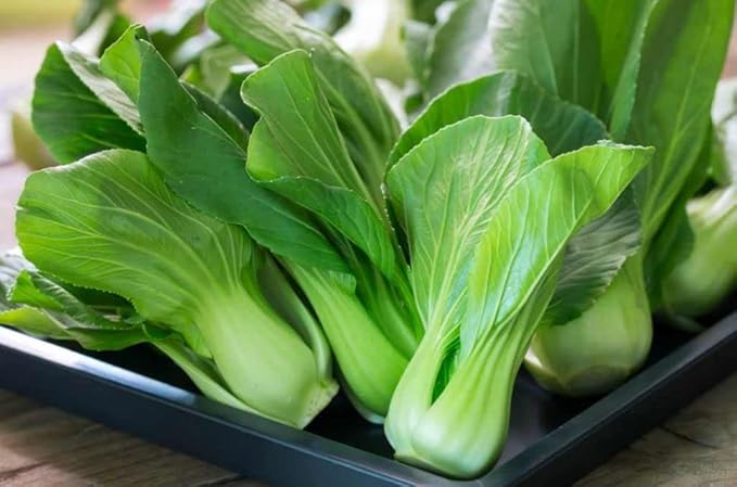 Seeds Chinese Cabbage Bok Choy Heirloom Vegetable Non GMO