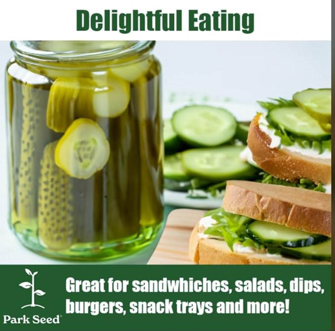 Park Seed Variety of Cucumber Seeds, Planting Cucumbers, Vegetable Seeds, Easy to Grow, Non-GMO, Perfect for Harvesting, Tasty Green Hybrid, Pack of 250
