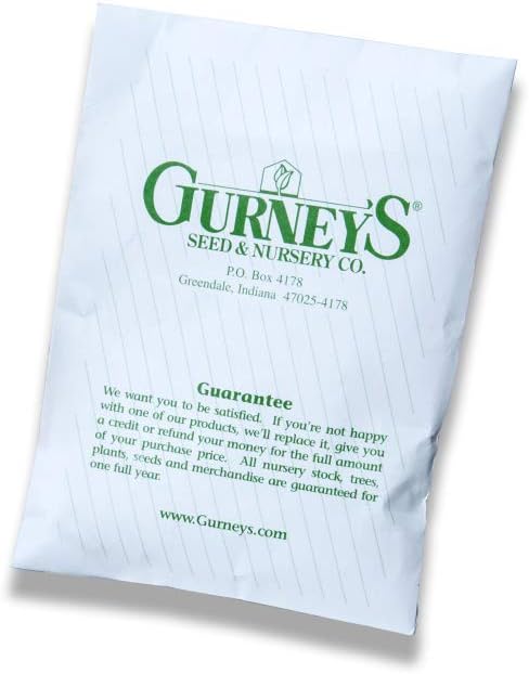 Herb Coriander/Cilantro Pkt - Approx. 50 seeds