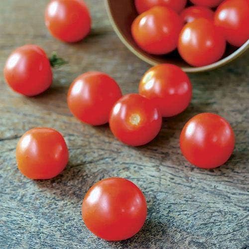 Park Seed Cherry Tomato Seeds, Planting Vegetables, Easy to Grow, Non-GMO, Variety of Colors and Sizes, Spring Garden, Supersweet Hybrid, Pack of 30