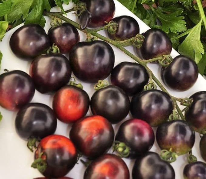 Seeds Black Cherry Tomato - Heirloom Vegetable - GMO Free