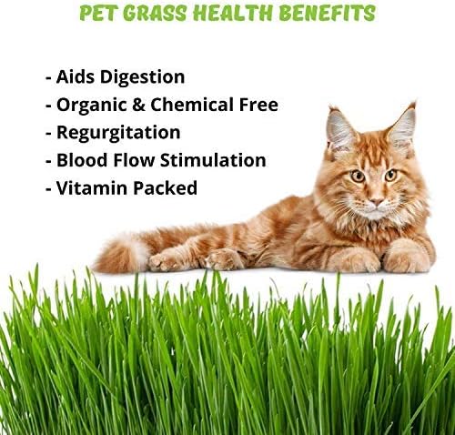 Organic Cat Grass Seeds – Non-GMO Hard Red Wheatgrass Seeds for Cats, Dogs, Rabbits – Grows in Cat Grass Kits – 12 oz
