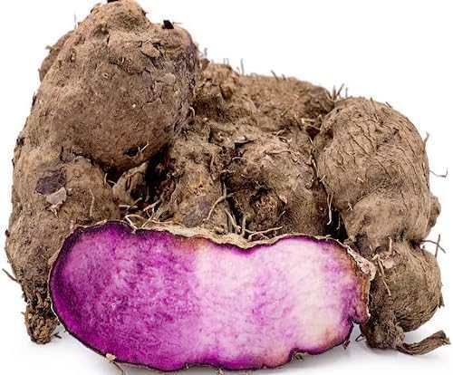 100 Pcs Dioscorea Alata Seeds, Heirloom Purple Yam Vegetable Seeds for Planting, High-Yield Tuber for Home Gardens, Farms, Backyard Growing & Sustainable Food Gardening