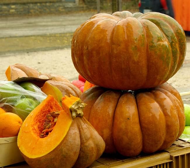 SeedsUP - 10+ Seeds Pumpkin Musquee de Provence - Vegetable Orange