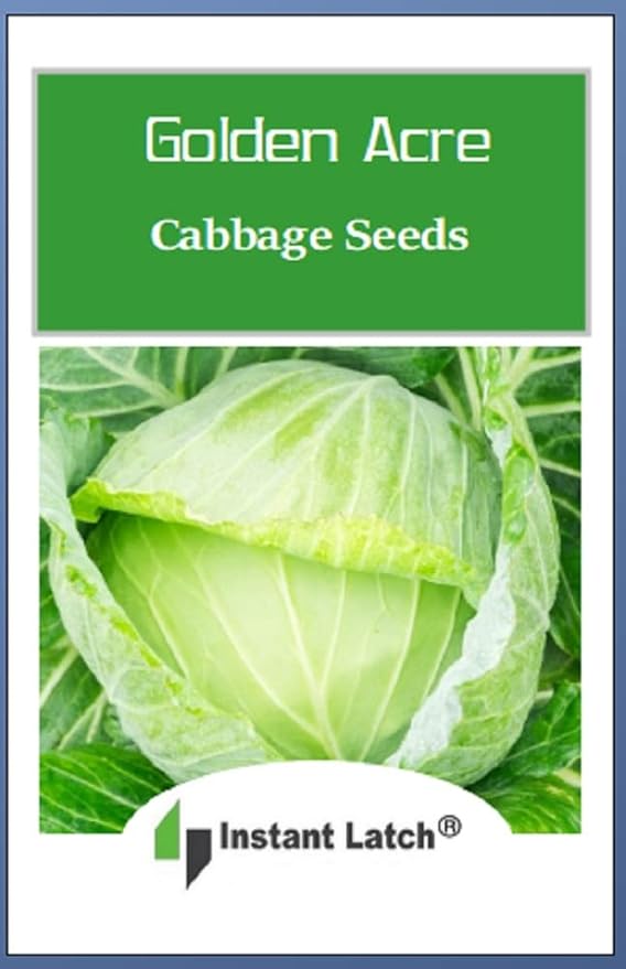 250 Golden Acre Cabbage Seeds for Planting Non GMO Heirloom Seeds Fresh Vegetable Garden Seed