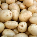 60 Yukon Potato Seeds for Growing Outdoors, True Potato Seeds Easy to Plant