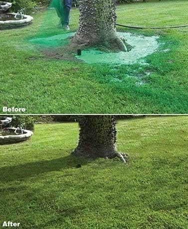 Hydro Mousse Liquid Lawn Kit with Spray n' Stay Technology (High Performance Grass Blend)