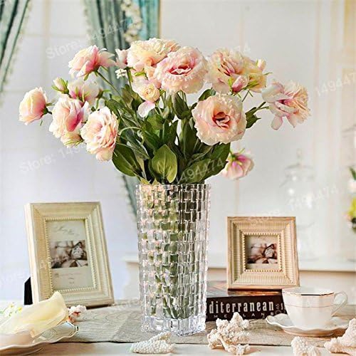 New Fresh 100pcs Mixed Eustoma Flower Seeds Generic