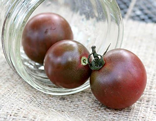 Black Cherry Heirloom Tomato Premium Seeds for Planting Packet