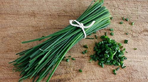 Seeds Chives Onion - Heirloom Vegetable - GMO Free
