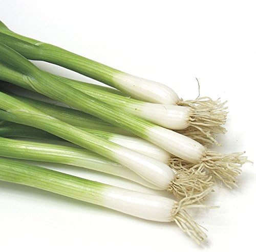Park Seed Variety of Onions Plant Seeds, Easy to Grow, Perfect for Spring Garden, Damast Bunching Scallion, Tape