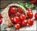 Vegetable Garden Seeds for Planting - Grow Heirloom Vegetables (Cherry Tomato)