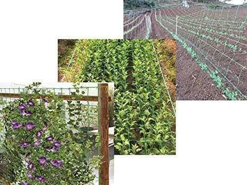 5.5x30ft Heavy Duty Garden Trellis Netting, UV-Resistant Polyethylene Plant Climbing Net, 6x6 Inch Square Mesh, for Cucumber Tomato Bean Grape Flower Outdoor Gardening