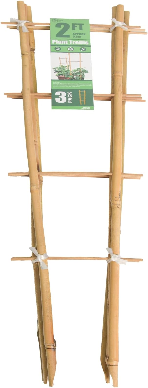 Bamboo Trellis 2FT 3 Pack, S2 Natural Bamboo Plant Ladder Stakes 24 Inch, Fan-Shaped Plant Support Stand for Orchid Vines, Monarchs, Ivy and Other Plants Climbing, Help Plant Growth