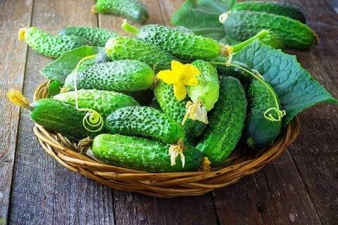 10+ Seeds Cucumber Be st Seller F1 Hybrid - Vegetable Self-Pollinated