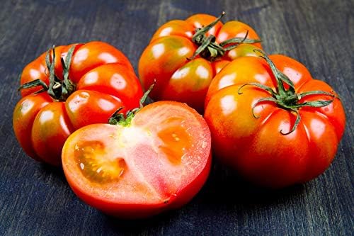 CEMEHA SEEDS - Seeds Giant Beefsteak Tomato Bear Paw Indeterminate Non GMO Vegetable for Planting