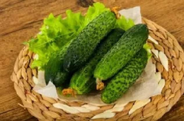 Cucumber Market F1 Seeds – Hybrid, Self-Pollinated | 38-45 Days to Harvest | High-Yield Variety for Fresh Eating & Slicing