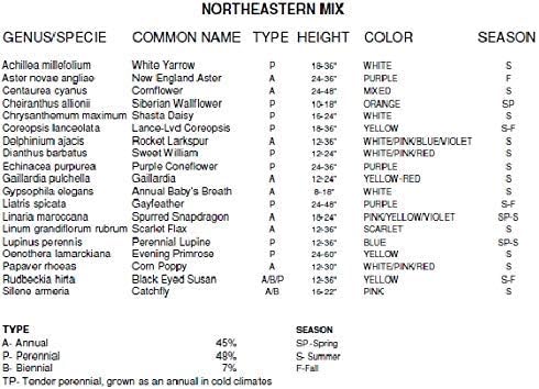 Non GMO Bulk Northeast Wildflower Seed Mix (10 Lbs)