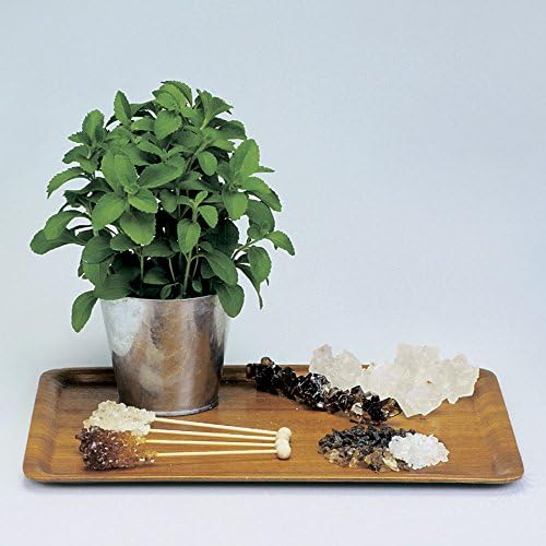 Park Seed Sugarleaf Organic Stevia Seeds, Pack of 50 Seeds